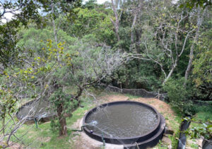 best of kenya safari