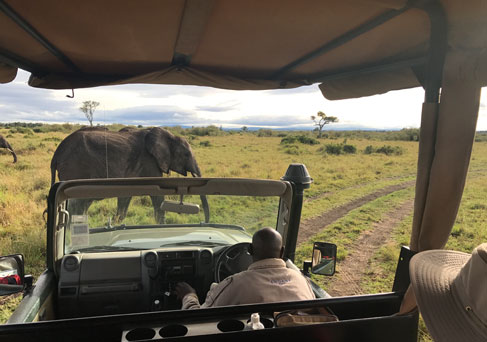 best of kenya safari