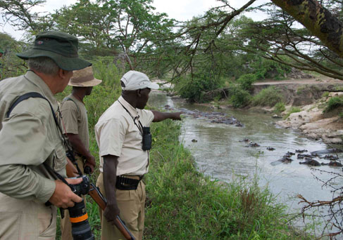 Serenget Migration Camp bush walk