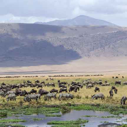 Northern Tanzania Discovery Safari