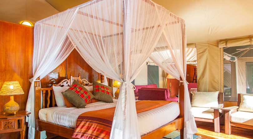 Valentine's specials