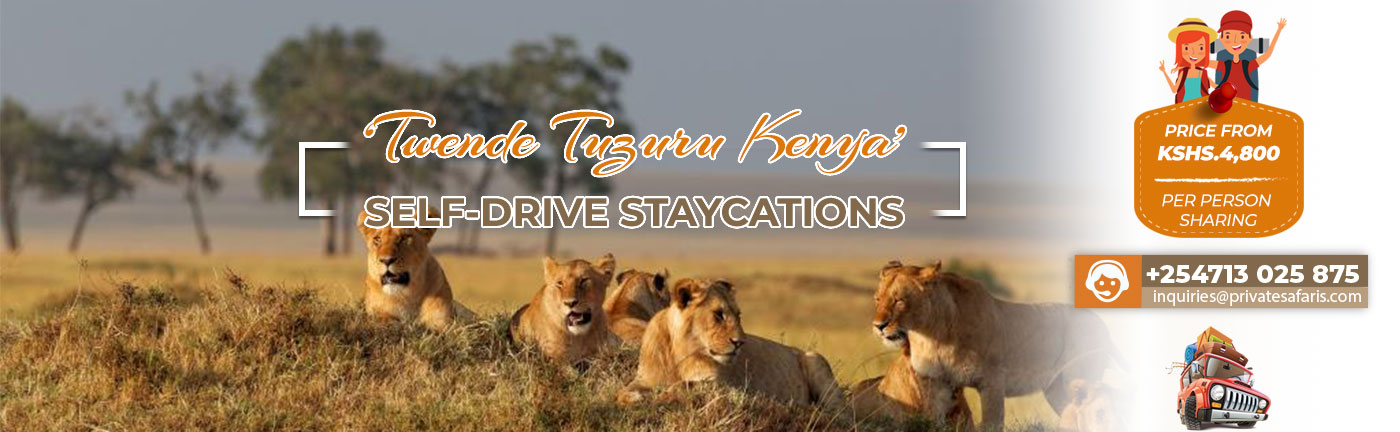 self-drive kenya staycations