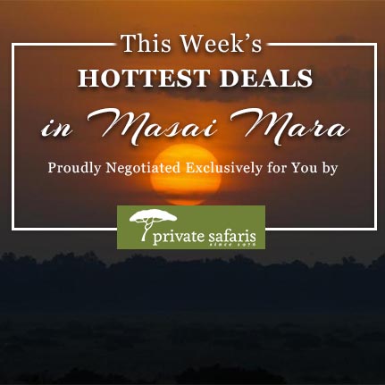 Week's Hot Deals