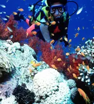 travel-image