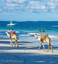 travel-image