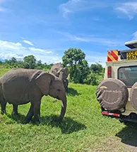 travel-image