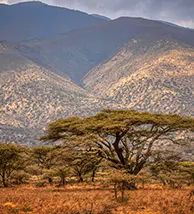 travel-image