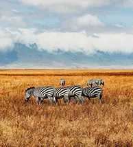 travel-image