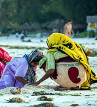 travel-image
