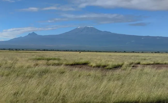 Amboseli national park