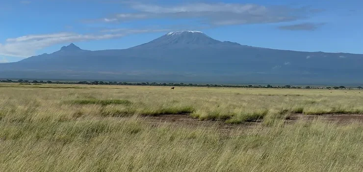 Amboseli national park