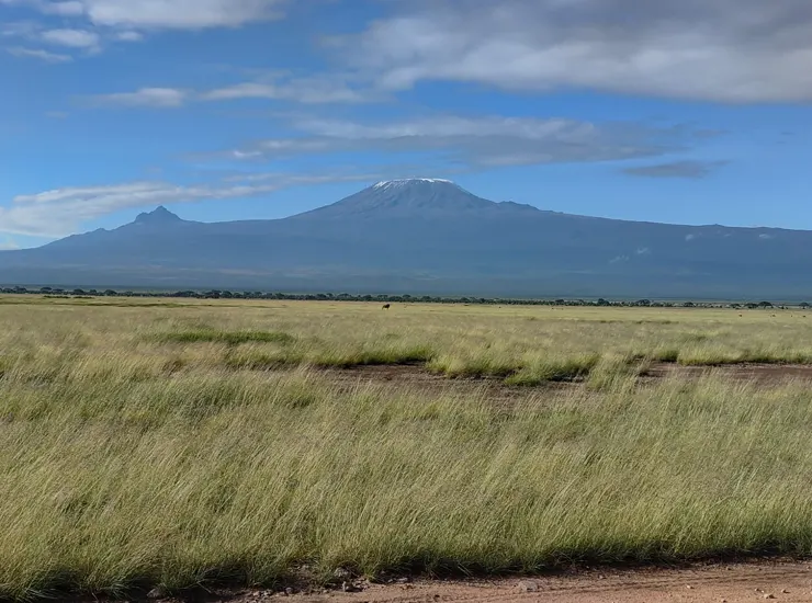 Amboseli national park
