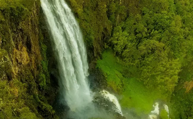 Aberdares National Park