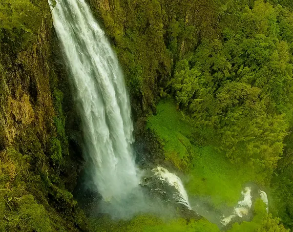 Aberdares National Park